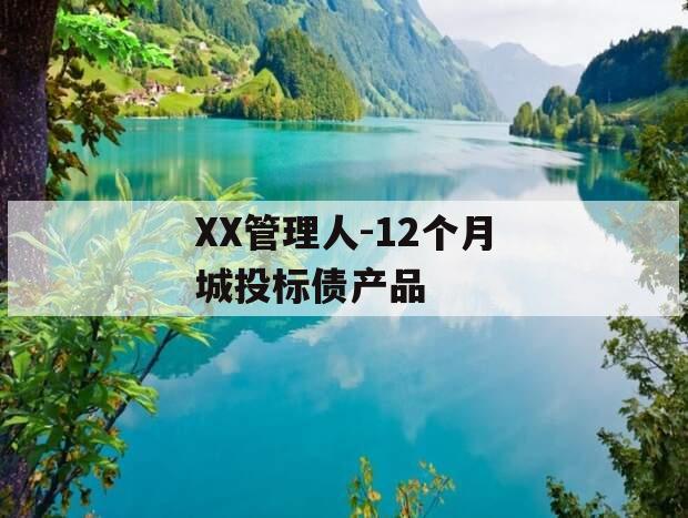 XX管理人-12个月城投标债产品 XX管理人-12个月城投标债产品