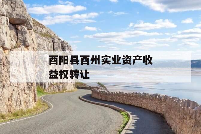 酉阳县酉州实业资产收益权转让