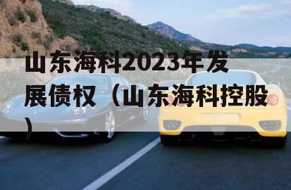 山东海科2023年发展债权（山东海科控股）