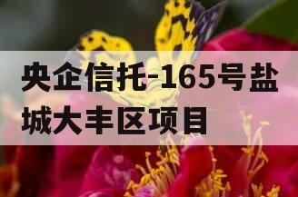 央企信托-165号盐城大丰区项目