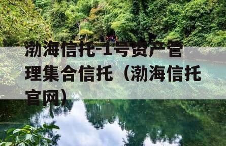 渤海信托-1号资产管理集合信托（渤海信托官网）