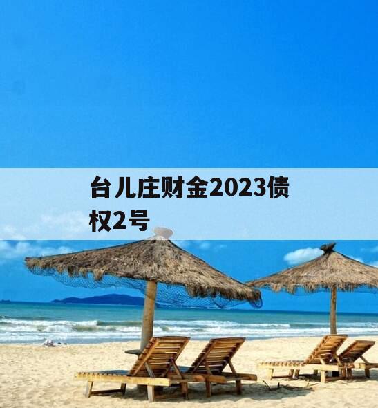 台儿庄财金2023债权2号
