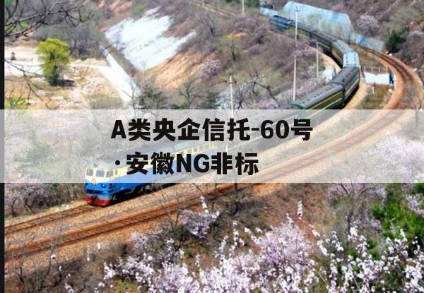 A类央企信托-60号·安徽NG非标
