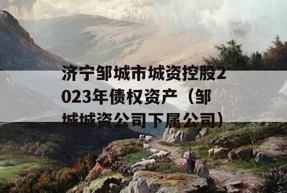 济宁邹城市城资控股2023年债权资产（邹城城资公司下属公司）