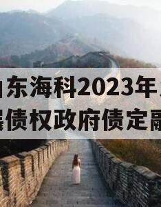 山东海科2023年发展债权政府债定融