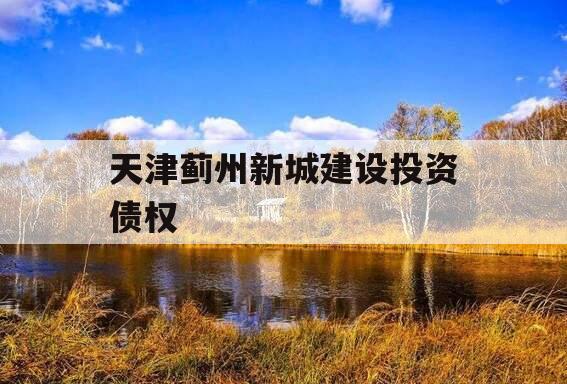 天津蓟州新城建设投资债权
