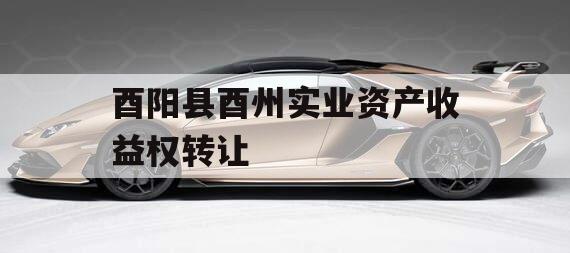 酉阳县酉州实业资产收益权转让