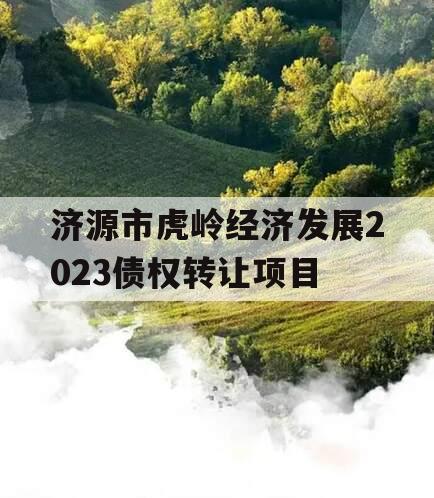 济源市虎岭经济发展2023债权转让项目 济源市虎岭经济发展2023债权转让项目