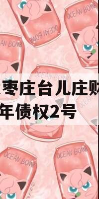 山东枣庄台儿庄财金2023年债权2号