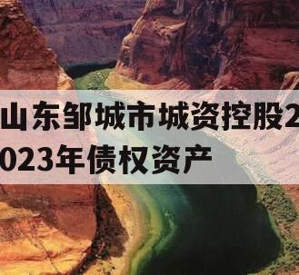山东邹城市城资控股2023年债权资产