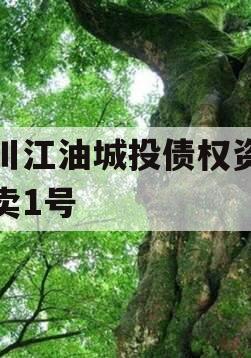 四川江油城投债权资产拍卖1号 四川江油城投债权资产拍卖1号