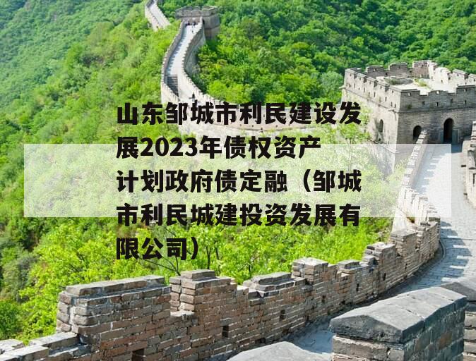 山东邹城市利民建设发展2023年债权资产计划政府债定融（邹城市利民城建投资发展有限公司）