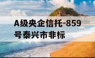 A级央企信托-859号泰兴市非标