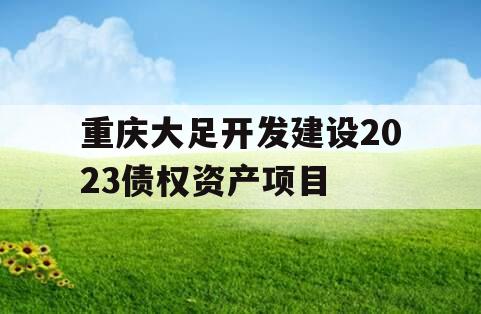 重庆大足开发建设2023债权资产项目