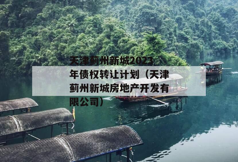 天津蓟州新城2023年债权转让计划（天津蓟州新城房地产开发有限公司）