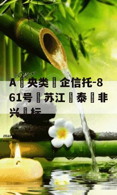 A‮央类‬企信托-861号‮苏江‬泰‮非兴‬标