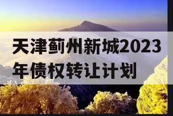 天津蓟州新城2023年债权转让计划