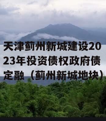 天津蓟州新城建设2023年投资债权政府债定融（蓟州新城地块）