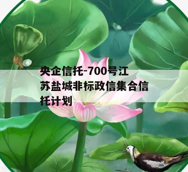 央企信托-700号江苏盐城非标政信集合信托计划