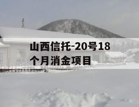 山西信托-20号18个月消金项目