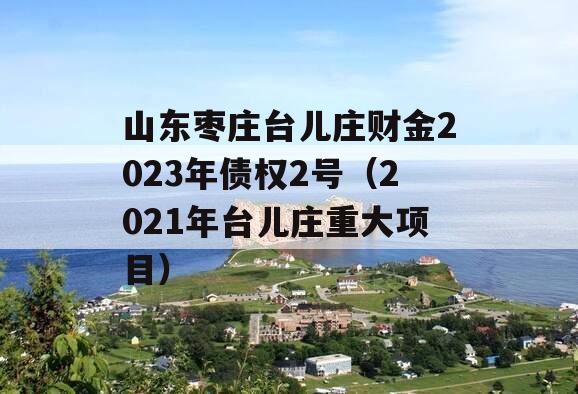山东枣庄台儿庄财金2023年债权2号（2021年台儿庄重大项目）