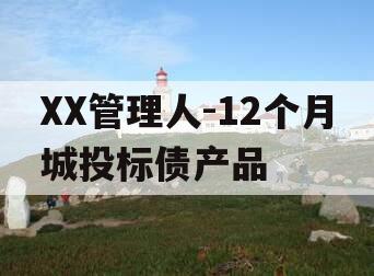 XX管理人-12个月城投标债产品