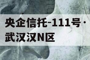 央企信托-111号·武汉汉N区