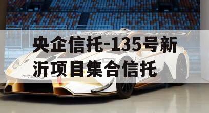央企信托-135号新沂项目集合信托