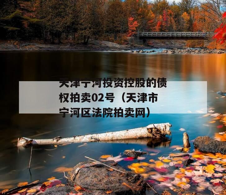 天津宁河投资控股的债权拍卖02号（天津市宁河区法院拍卖网）