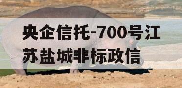 央企信托-700号江苏盐城非标政信