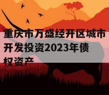 重庆市万盛经开区城市开发投资2023年债权资产