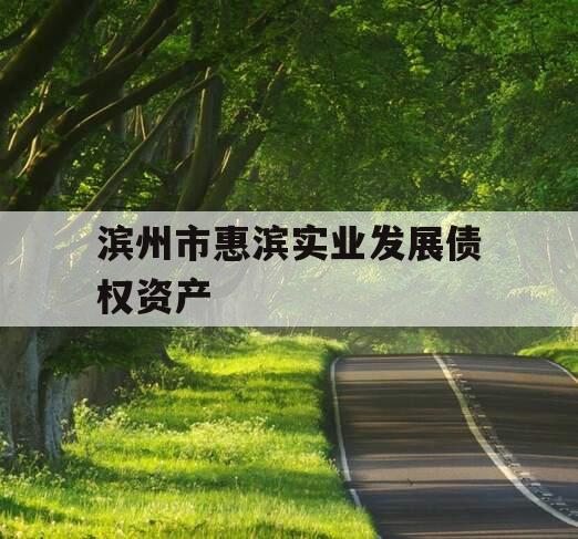 滨州市惠滨实业发展债权资产
