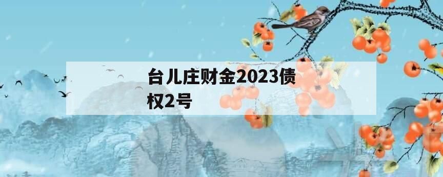 台儿庄财金2023债权2号