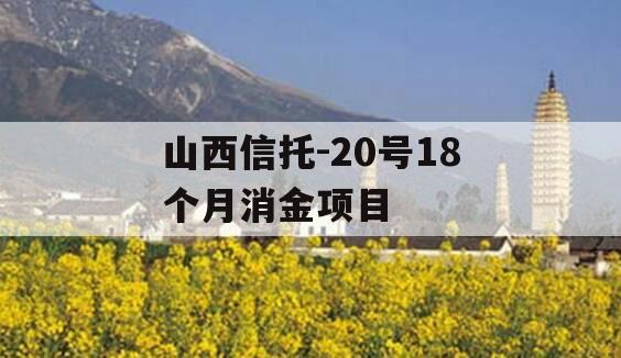 山西信托-20号18个月消金项目
