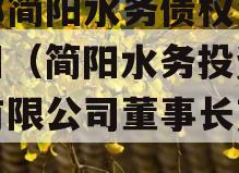 成都简阳水务债权资产项目（简阳水务投资发展有限公司董事长变动）