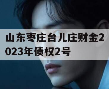 山东枣庄台儿庄财金2023年债权2号