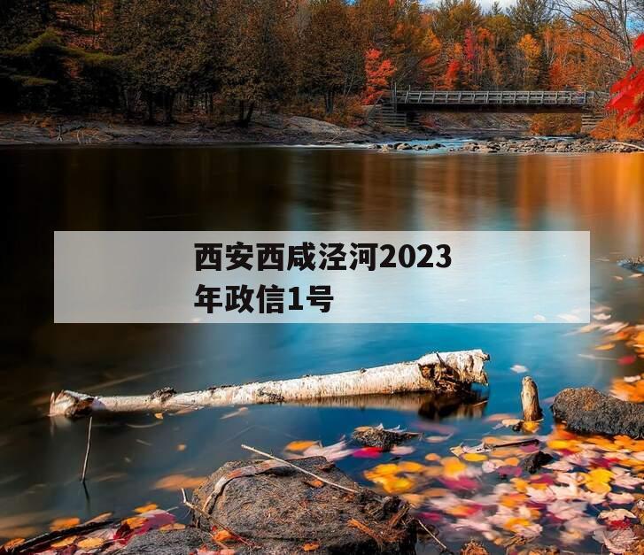 西安西咸泾河2023年政信1号 西安西咸泾河2023年政信1号