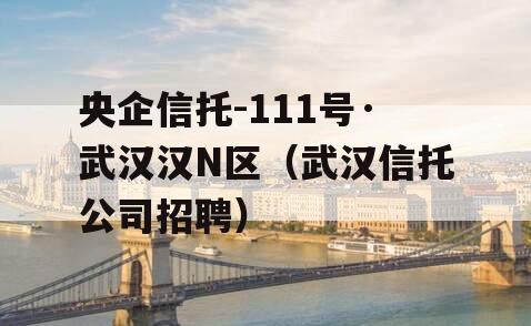 央企信托-111号·武汉汉N区（武汉信托公司招聘）