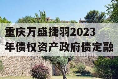 重庆万盛捷羽2023年债权资产政府债定融