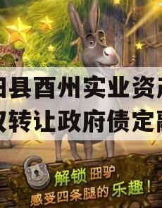 酉阳县酉州实业资产收益权转让政府债定融
