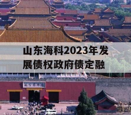 山东海科2023年发展债权政府债定融