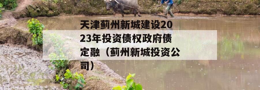 天津蓟州新城建设2023年投资债权政府债定融（蓟州新城投资公司）