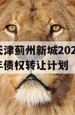 天津蓟州新城2023年债权转让计划