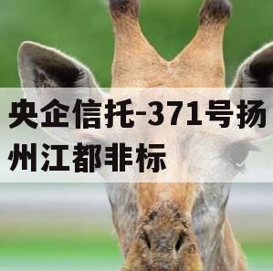 央企信托-371号扬州江都非标