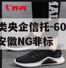 A类央企信托-60号·安徽NG非标