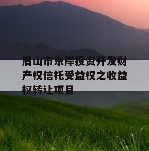 眉山市东岸投资开发财产权信托受益权之收益权转让项目