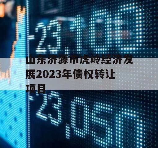 山东济源市虎岭经济发展2023年债权转让项目