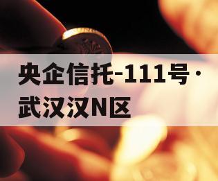 央企信托-111号·武汉汉N区