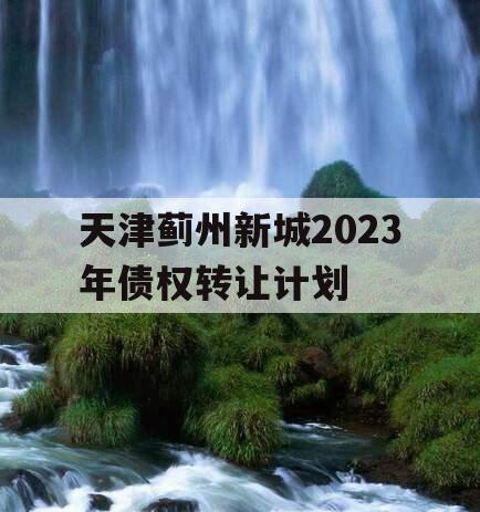 天津蓟州新城2023年债权转让计划
