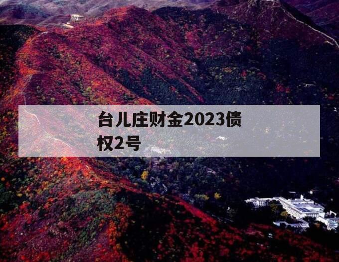 台儿庄财金2023债权2号